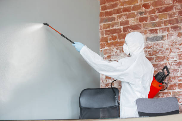 Best Mold Damage Restoration  in Garden City, KS