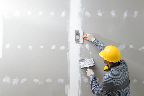 Best Commercial Mold Inspection  in Garden City, KS
